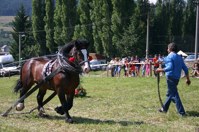 img00025.jpg